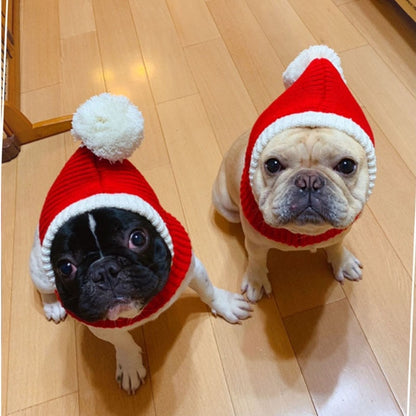 Stylish Pet woollen Hat 2