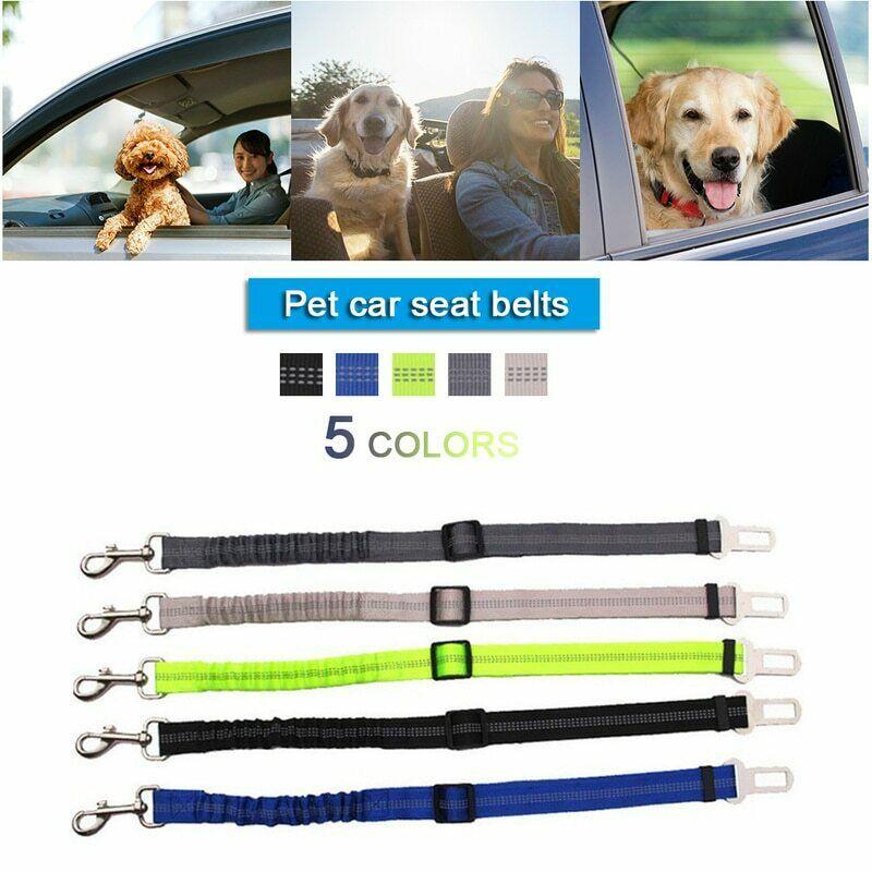 Paw Safe Seat Belt 2