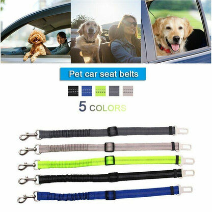Paw Safe Seat Belt 2