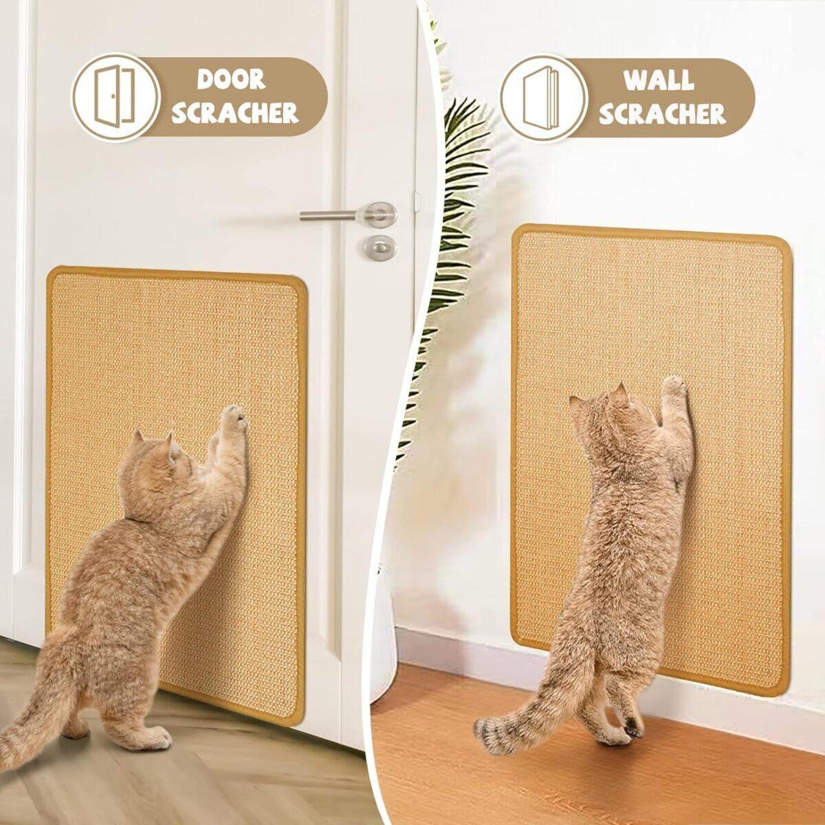 Carpet Cat Scratching 2