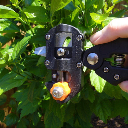 Grafting Tool 2