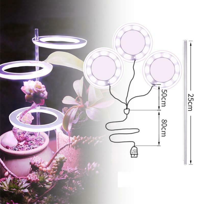 Grow Lights for Indoor Plants 2