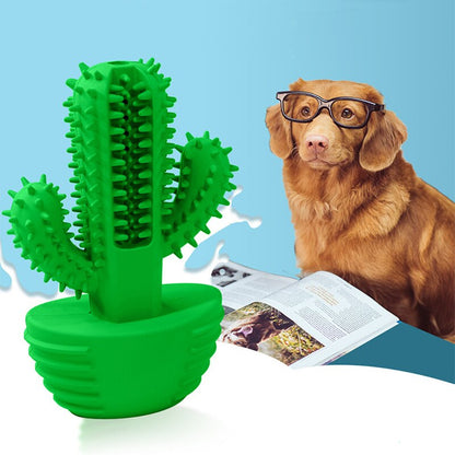 Cactus Dog Toothbrush 2