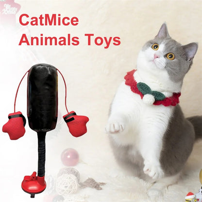 Cat Punching Bag Toy 2