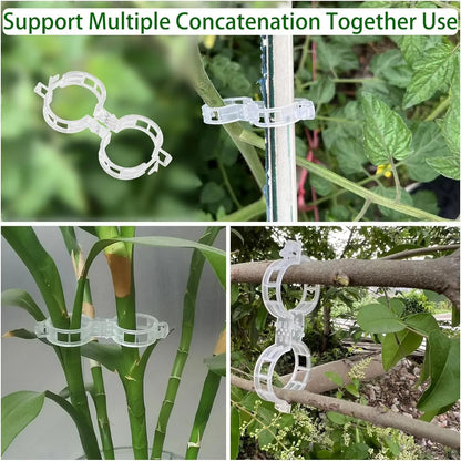 Plant Support Clips-100PCS 2