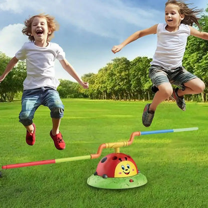 3 in 1 Ladybug Toy 2
