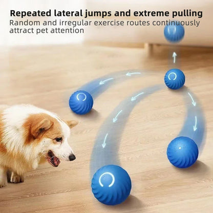 Active Rolling Ball Anti-Anxiety Automatic Moving Ball 2