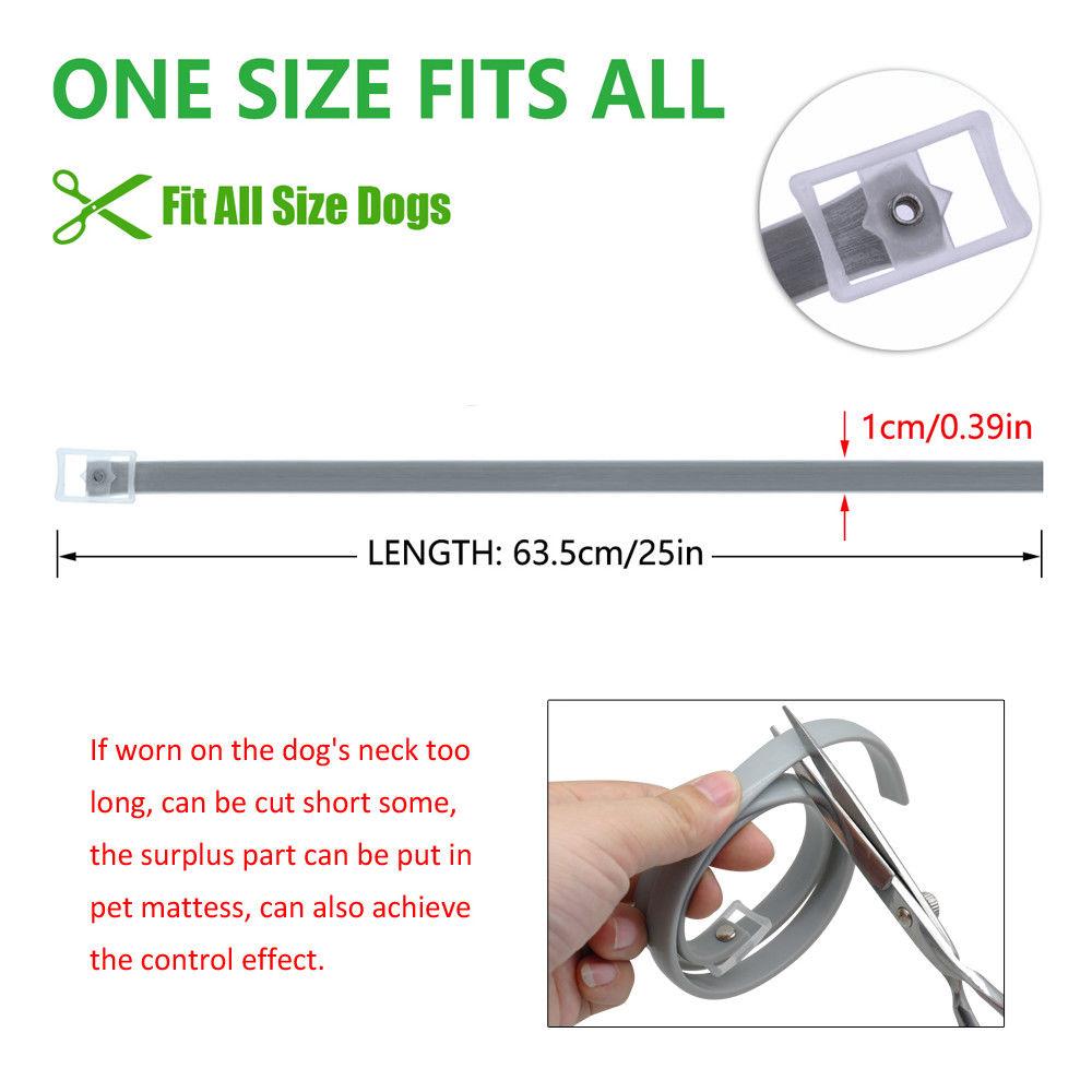 8 Month Flea And Tick Collar 2