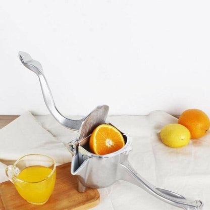 Fruit Juice Squeezer 2