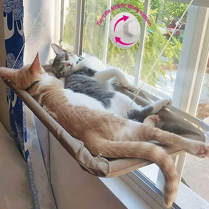 Cat Hammock 2