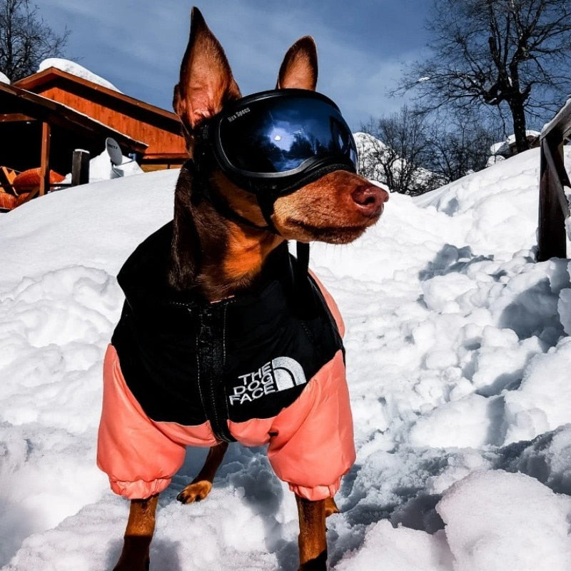 Dog Face Puffer Coat 2