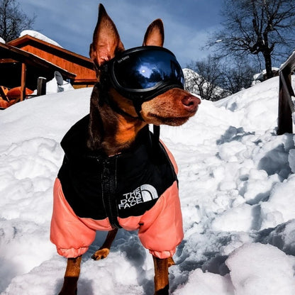 Dog Face Puffer Coat 2