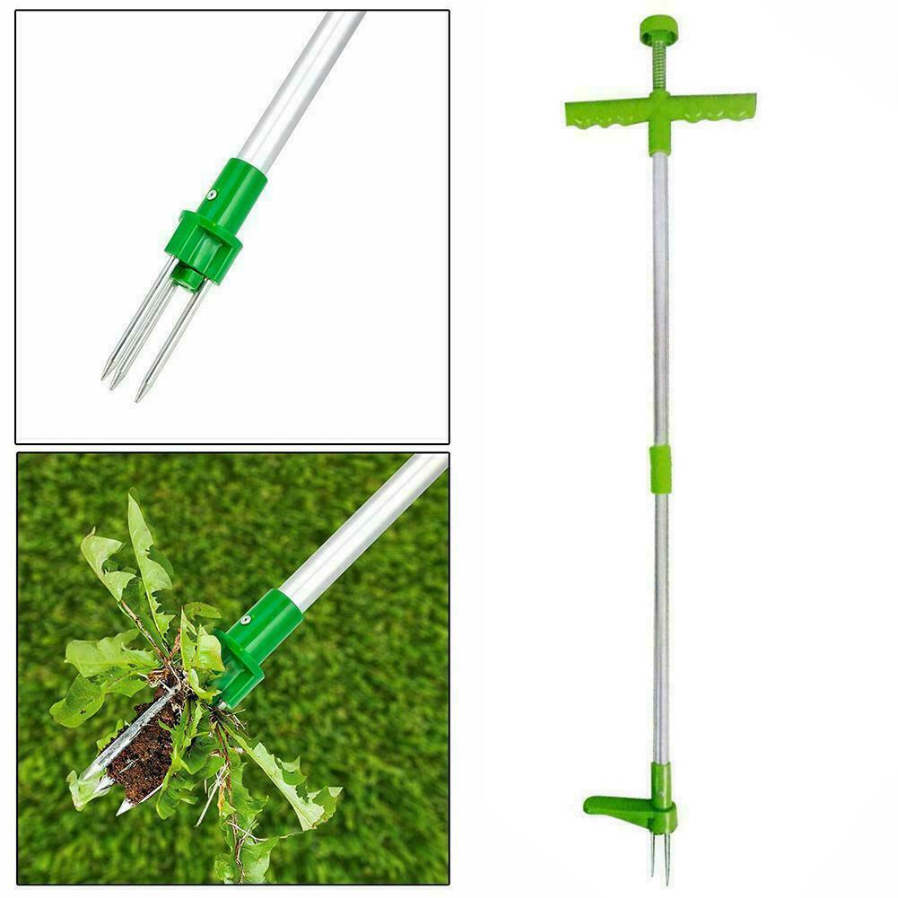 Standing Plant Root Remover 2