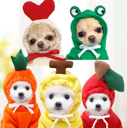 Purrfect Pet Hoodies 1
