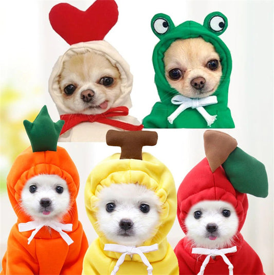Purrfect Pet Hoodies 1