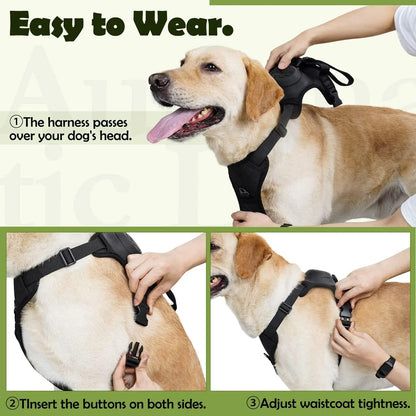 Dog Harness and Retractable Leash Set All-in-One 2