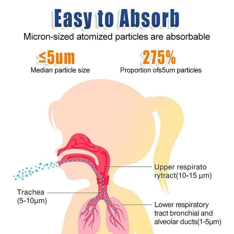 Portable Nebulizer 2