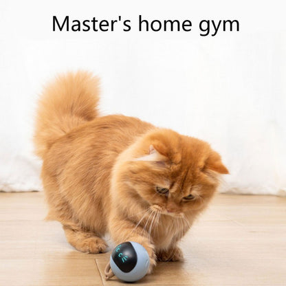 Interactive Self-Rolling Ball Cat Toy 2