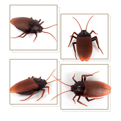 Remote Controlled Cockroach 2