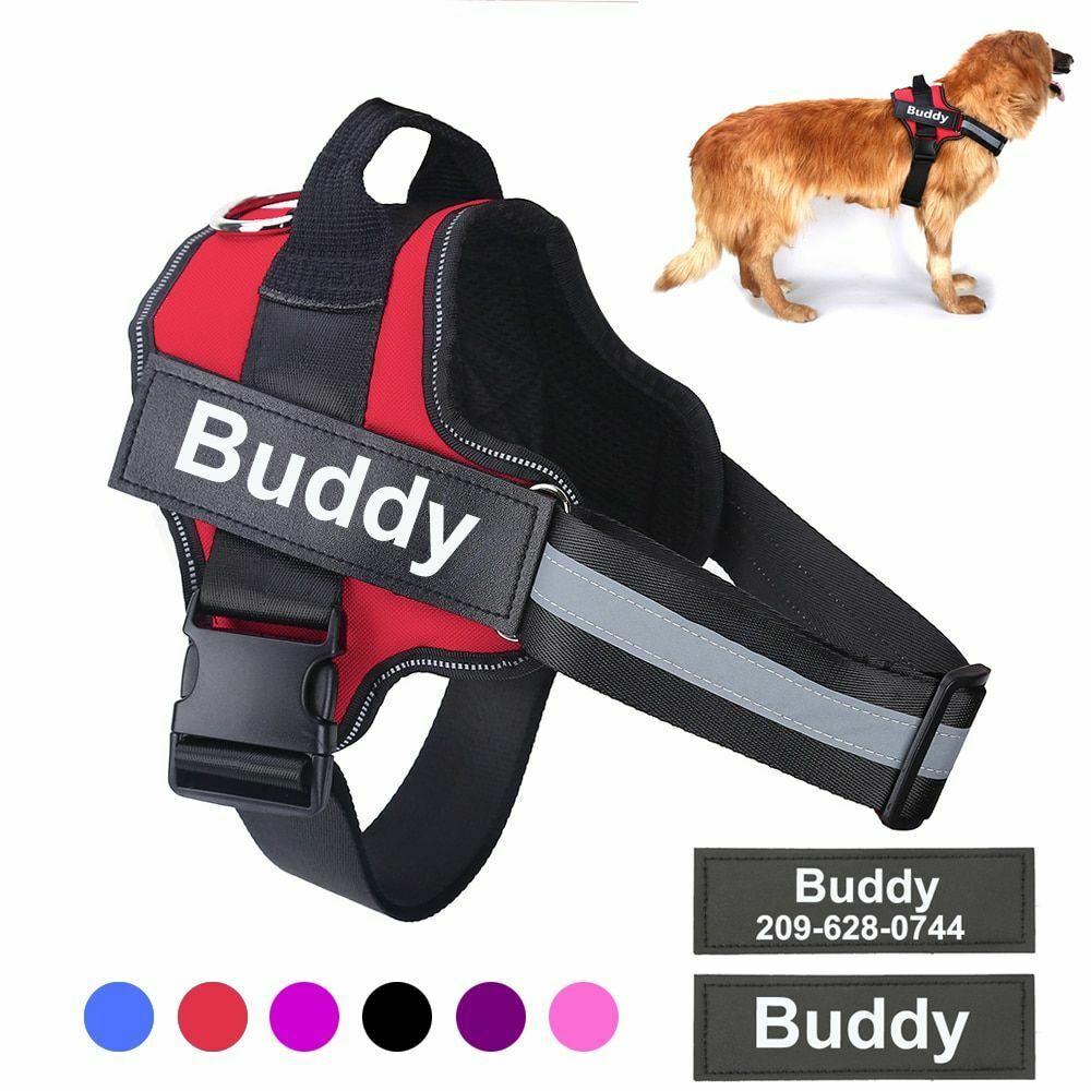 CUSTOM DOG HARNESS 2