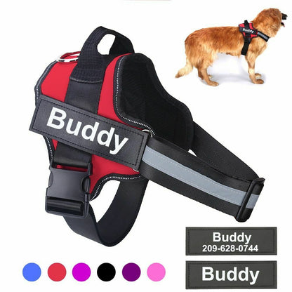 CUSTOM DOG HARNESS 2