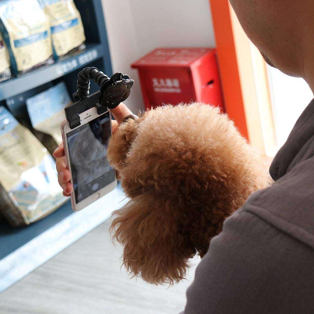 Dog Selfie Stick 2