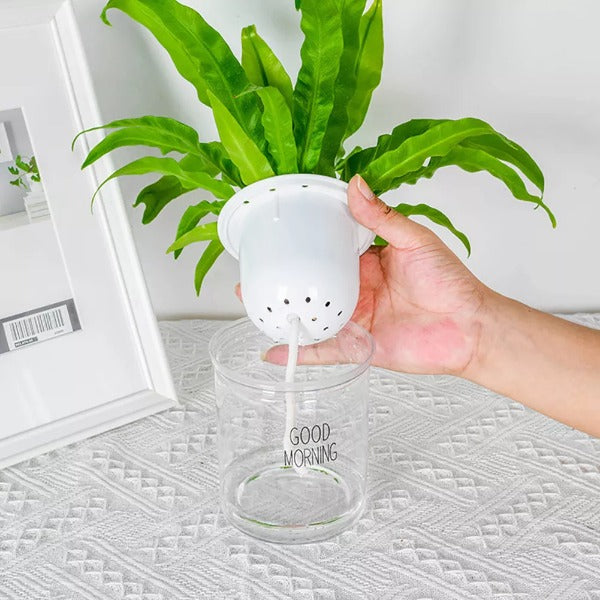 Hydroponic Flowerpot 2