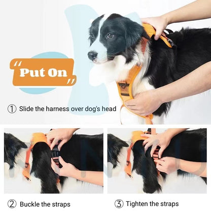 Dog Harness and Retractable Leash Set All-in-One 2