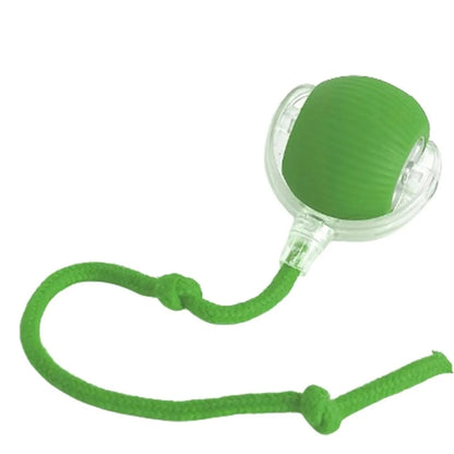 BounceTug Play Ball – Interactive Pet Toy 2