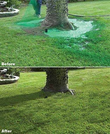 Liquid Lawn System 2