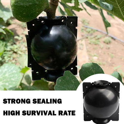 Plant Rooting/ Growing Balls (5 pcs) 2