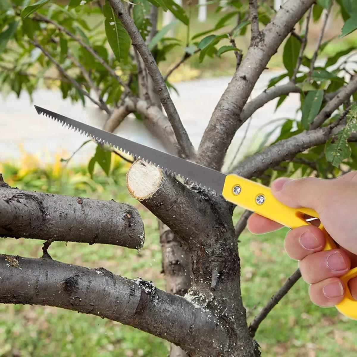 Outdoor Hand Saw 2