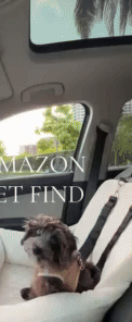 Pet Car Bed 2
