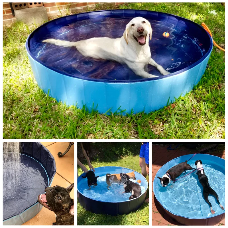 PORTABLE PAW POOL 2