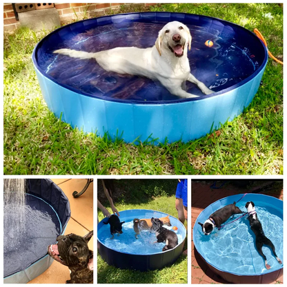 PORTABLE PAW POOL 2