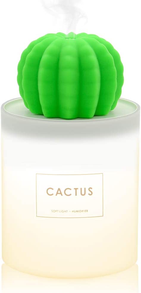 Cactus Ball Humidifier 2