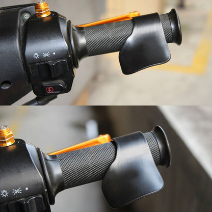 Throttle Mounted Cruise Assist 2