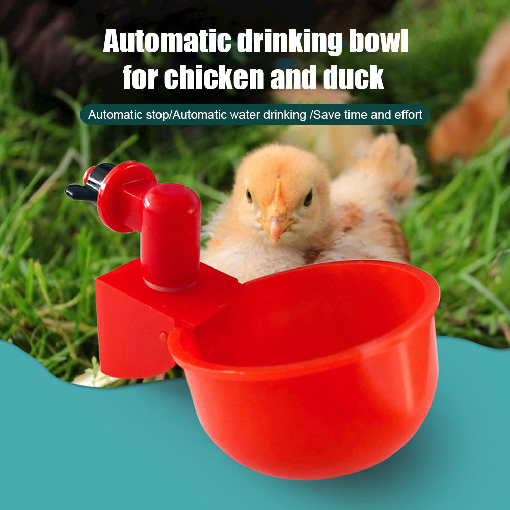 Automatic Chicken Water Dispenser 2