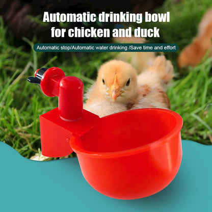 Automatic Chicken Water Dispenser 2