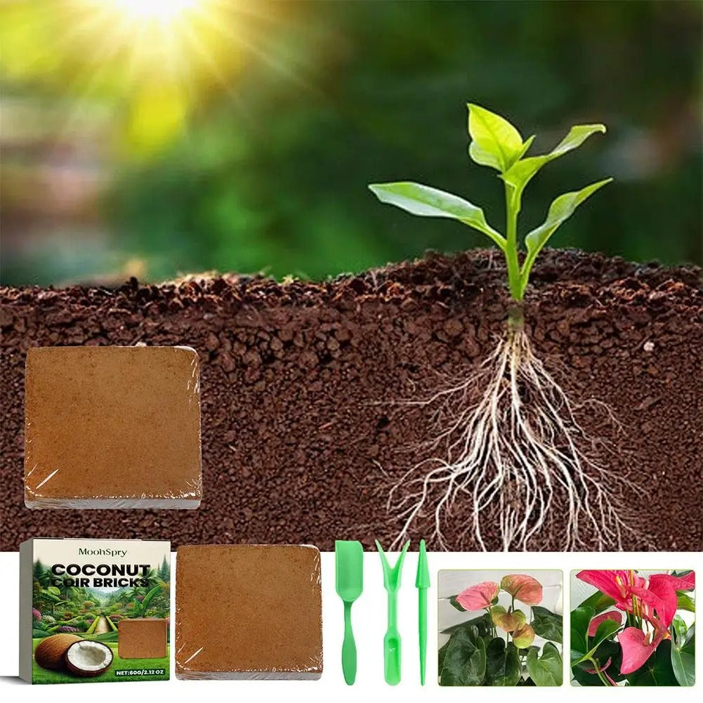 Organic Coconut Coir for Plants- 5PCS 2