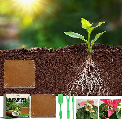 Organic Coconut Coir for Plants- 5PCS 2