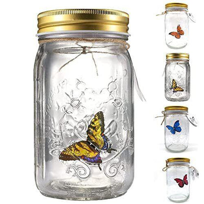 Butterfly In Jar 2