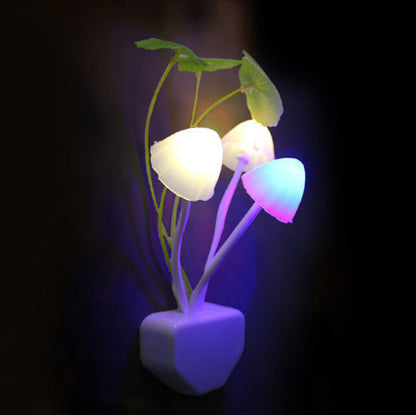 Lucky Mushroom Night Light 2