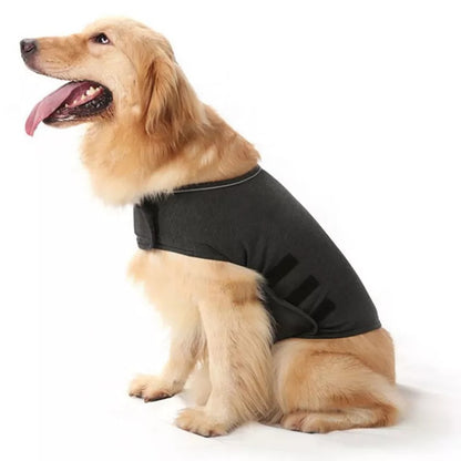 Anti Anxiety Dog Vest 2