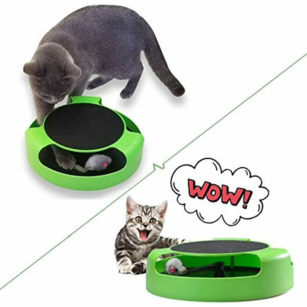 Interactive Cat Toy 2