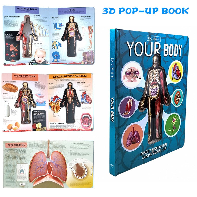 Anatomy of The Human Body 3D Picture Book 2