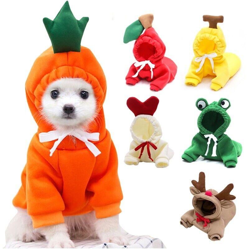 Cute Fruit Dog Clothes 2