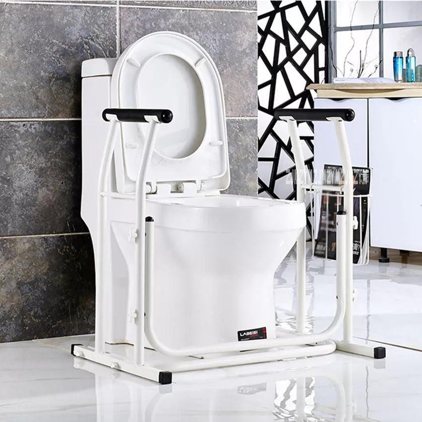 Stand Alone Toilet Rail 2
