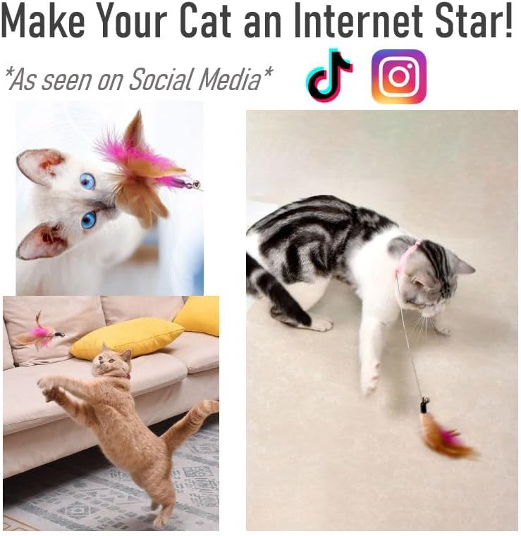 Cat Interactive Feather Collar Teaser Toy 3