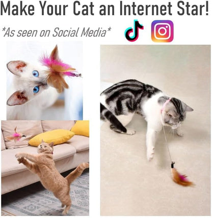 Cat Interactive Feather Collar Teaser Toy 3